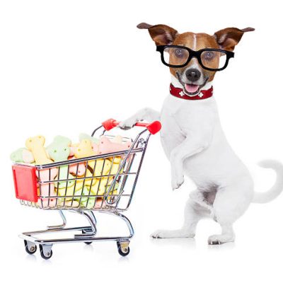 jack russell dog  pushing a shopping cart full of tasty treats  and cookies , isolated on white background